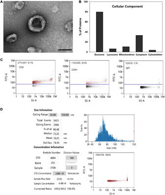 Priming With Toll-Like Receptor 3 Agonist Poly(I:C) Enhances Content of Innate Immune Defense Proteins but Not MicroRNAs in Human Mesenchymal Stem Cell-Derived Extracellular Vesicles